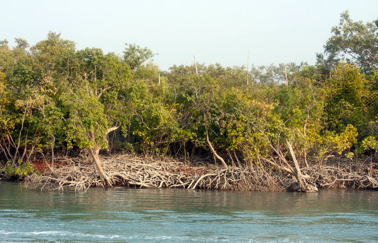 Sundarban Tour Package (2N/3D)